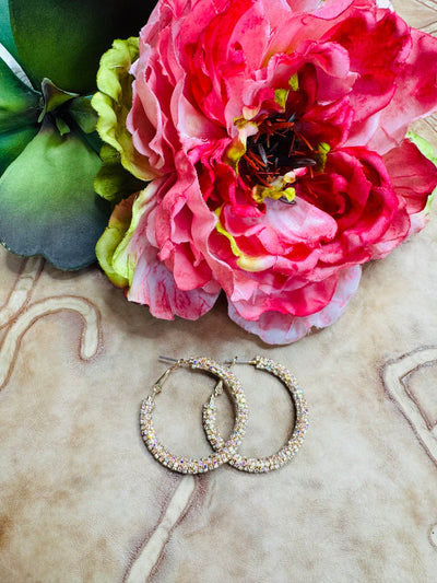 Small Gold Crystal Hoops