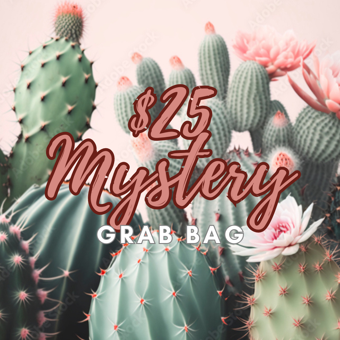 Mystery $25 Grab Bag